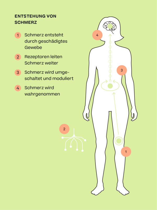 Wie funktioniert Schmerz: Erklärung